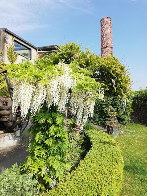 B&B De Vlaschaerd Heule Extérieur photo