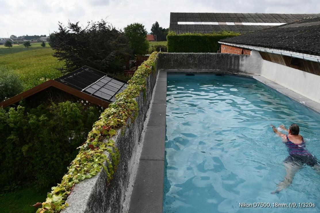 B&B De Vlaschaerd Heule Extérieur photo